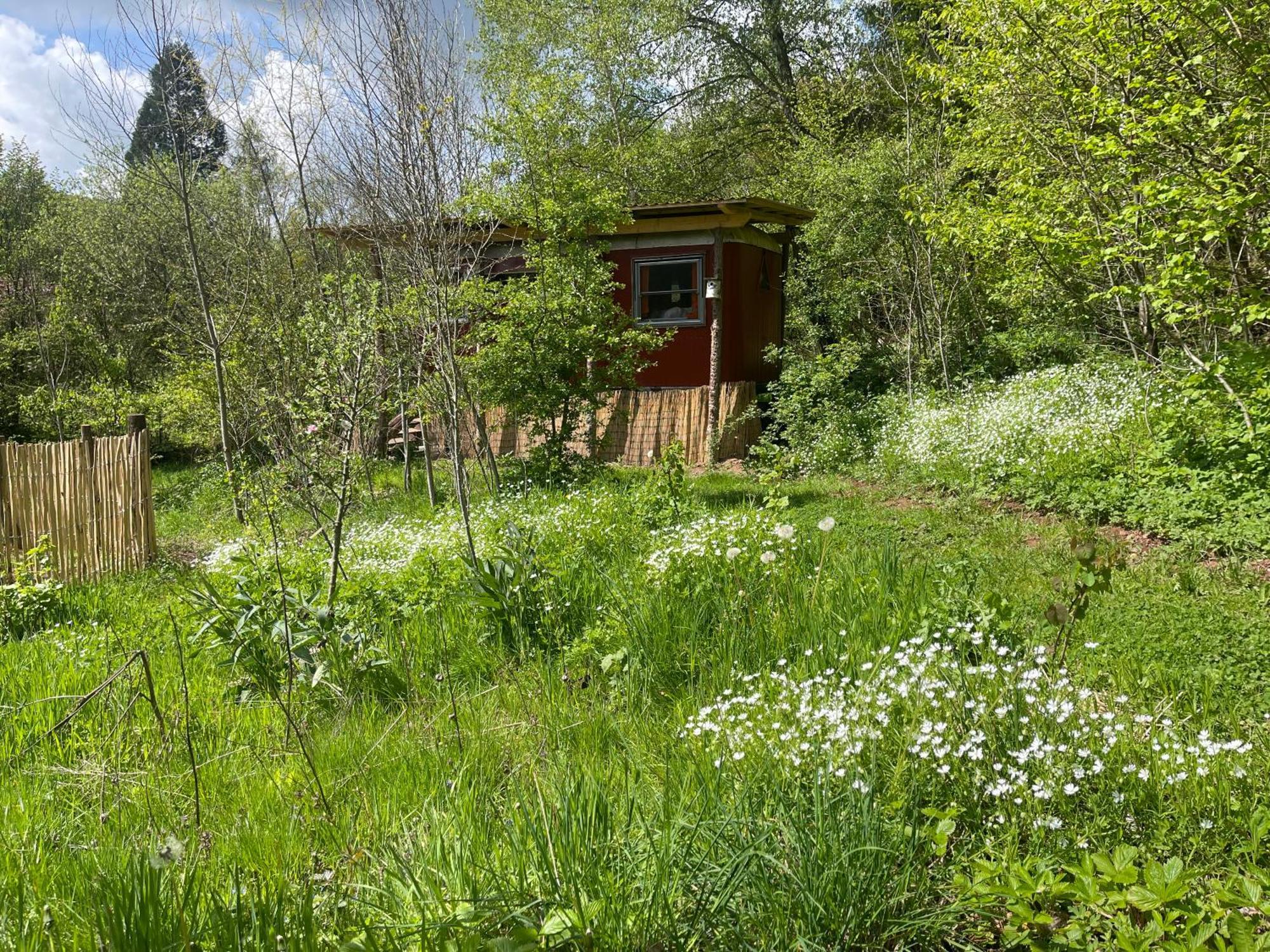 Kuscheliger Zirkuswagen Im Wildgarten Witzenhausen Bagian luar foto